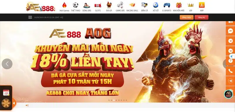 Đá Gà Ae88 - Nơi Cá Cược Chọi Gà Trực Tuyến Uy Tín
