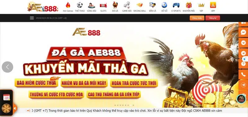 Đá Gà Ae88 - Nơi Cá Cược Chọi Gà Trực Tuyến Uy Tín