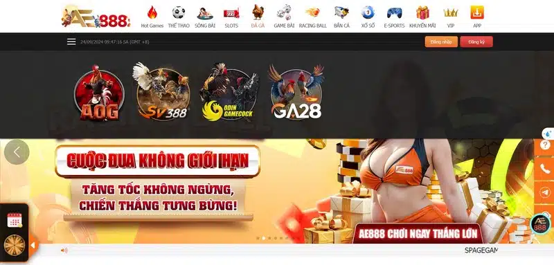 Đá Gà Ae88 - Nơi Cá Cược Chọi Gà Trực Tuyến Uy Tín